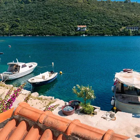 Charming Lady Kate *